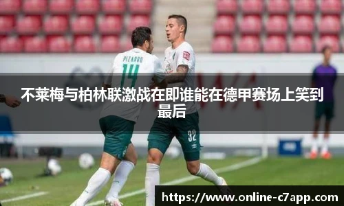 c7娱乐官方网站